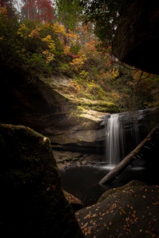 Image of Dog Slaughter Falls by Garrard Coffey from London